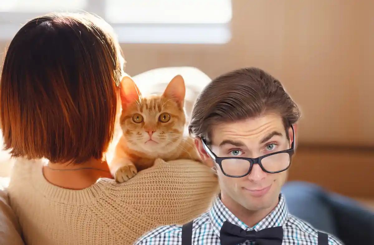 le-mystere-du-ronronnement-des-chats-enfin-resolu