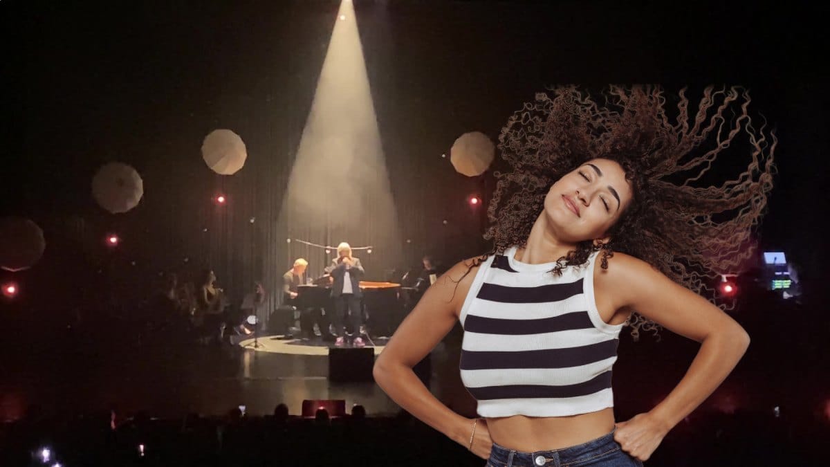 retour-sur-le-dernier-cancert-de-l-artiste-renaud