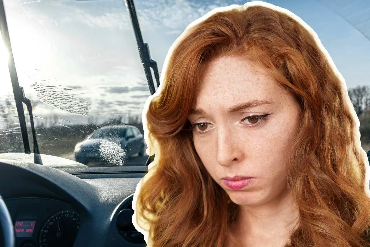 votre-pare-brise-risque-de-vous-couter-une-fortune-avec-cette-nouvelle-loi