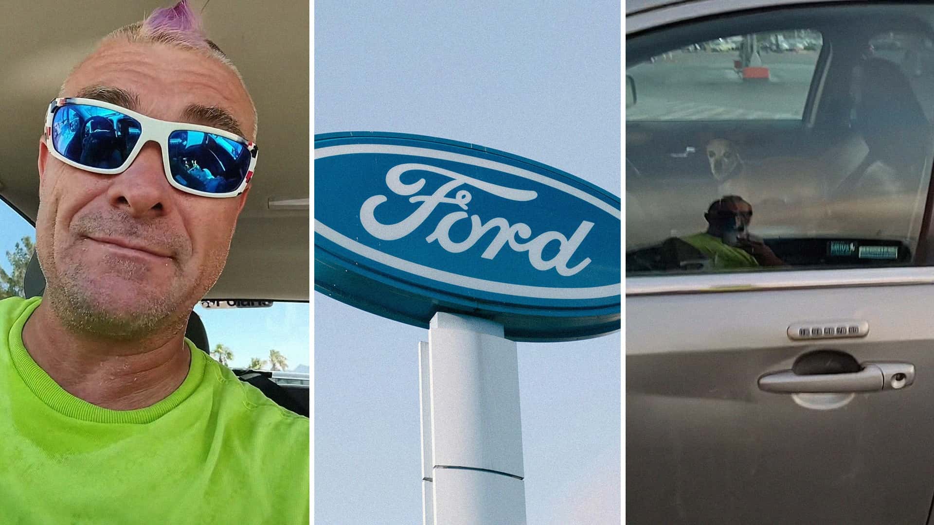Homme découvre un chihuahua dans une Ford à l’arrêt, fenêtres closes : que faire ?
